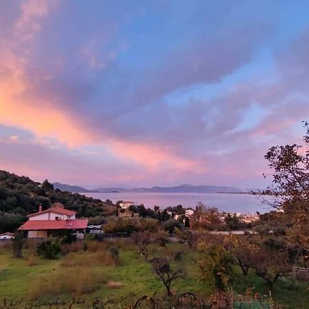 Ολόκληρος Όροφος Αγροτική Οικία Apartman Néos Pírgos Kültér fotó