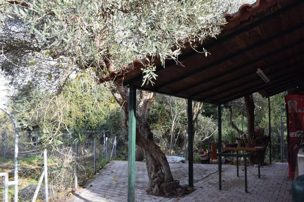 Ολόκληρος Όροφος Αγροτική Οικία Apartman Néos Pírgos Kültér fotó