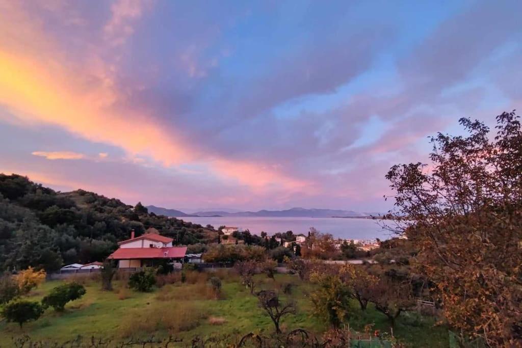 Ολόκληρος Όροφος Αγροτική Οικία Apartman Néos Pírgos Kültér fotó